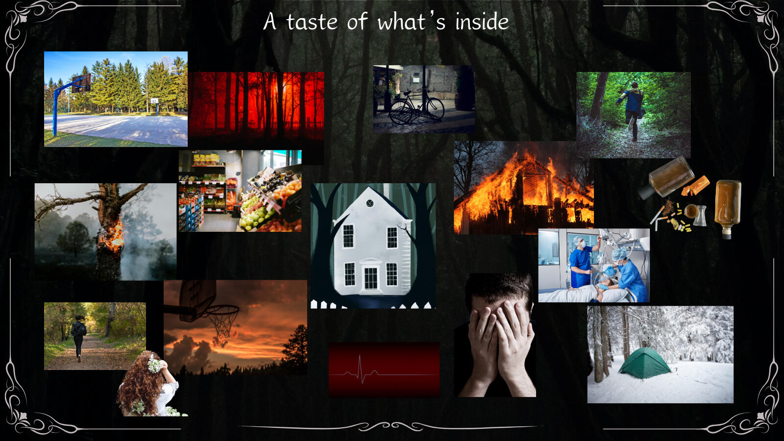 Images depicting what's inside the story